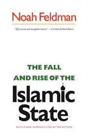 The fall and rise of the islamic state cover image