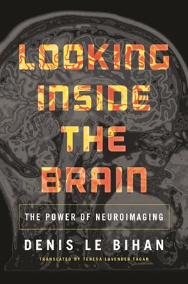Cover image for Looking Inside the Brain