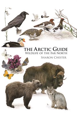 Cover image for The Arctic Guide