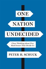 One nation undecided. Clear Thinking about Five Hard Issues That Divide Us cover image