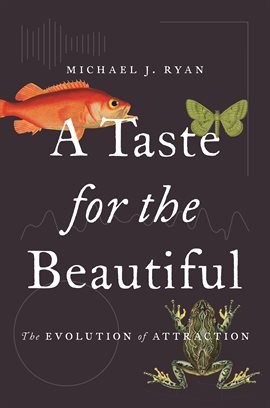 Cover image for A Taste for the Beautiful