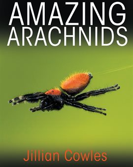 Image de couverture de Amazing Arachnids