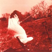 Dig (Remastered) cover image