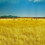 Piano Hymns For Meditation cover image