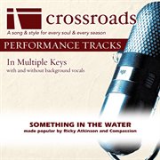 Something In The Water (Made Popular By Ricky Atkinson And Compassion) (Performance Track) cover image