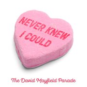 Never Knew I Could cover image