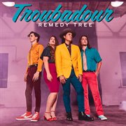 Troubadour cover image