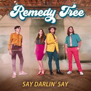 Say Darlin' Say cover image