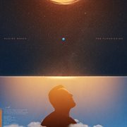 The Flourishing cover image