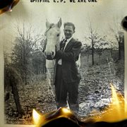 Spitfire cover image