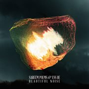 Beautiful Noise cover image