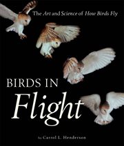 Birds in flight: the art and science of how birds fly cover image