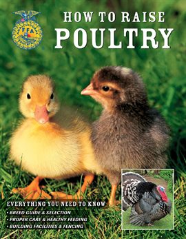 Cover image for How To Raise Poultry