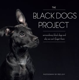 Cover image for The Black Dogs Project