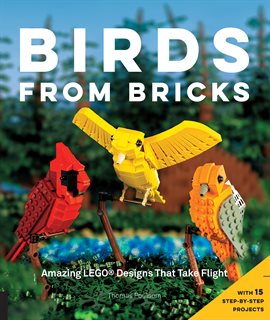 Cover image for Birds from Bricks