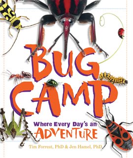 Cover image for Bug Camp