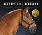 Beautiful horses. Portraits of champion breeds cover image