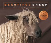 Beautiful sheep. Portraits of champion breeds cover image