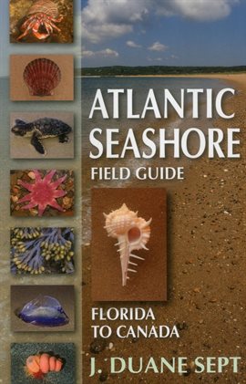 Cover image for Atlantic Seashore Field Guide