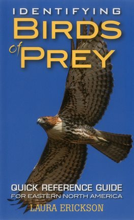 Cover image for Identifying Birds of Prey