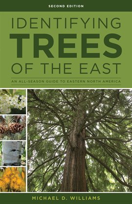 Cover image for Identifying Trees of the East