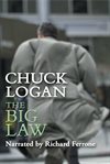 The big law cover image