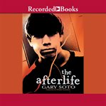 The afterlife cover image