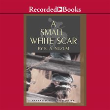 Cover image for A Small White Scar