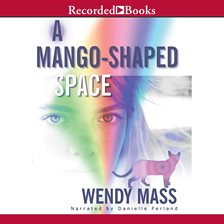 Cover image for A Mango-Shaped Space