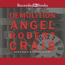 Cover image for Demolition Angel