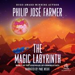 The magic labyrinth cover image