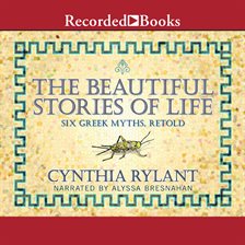 Cover image for The Beautiful Stories of Life