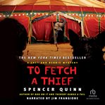 To fetch a thief cover image