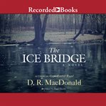 The ice bridge cover image