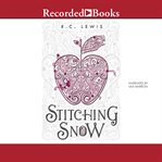 Stitching snow cover image