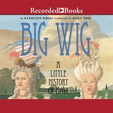 Cover image for Big Wig