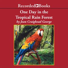 Cover image for One Day in the Tropical Rain Forest