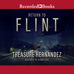 Return to flint cover image