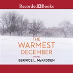 The warmest december cover image