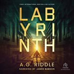 Labyrinth cover image