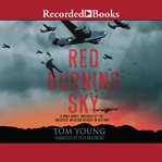 Red burning sky cover image
