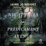Night Falls on Predicament Avenue cover image