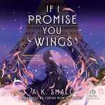 If I Promise You Wings cover image
