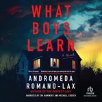 What Boys Learn cover image