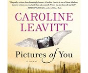 Pictures of you a novel cover image