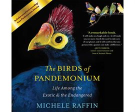 Cover image for The Birds of Pandemonium