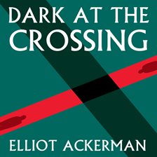 Cover image for Dark at the Crossing