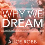 Why we dream : the transformative power of our nightly journey cover image