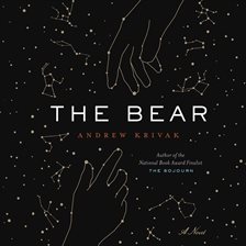 Cover image for The Bear