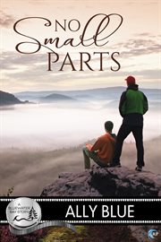 No small parts cover image